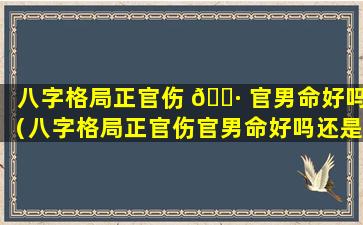 八字格局正官伤 🌷 官男命好吗（八字格局正官伤官男命好吗还是 🕸 女命）